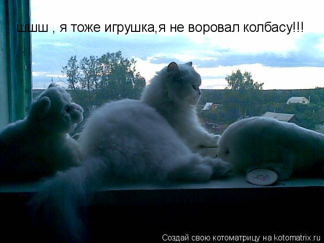 Котоматрица: шшш , я тоже игрушка,я не воровал колбасу!!!