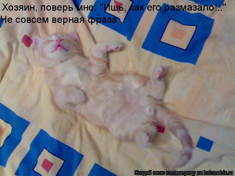 Котоматрица: Хозяин, поверь мне: "Ишь, как его размазало!.." Не совсем верная фраза...