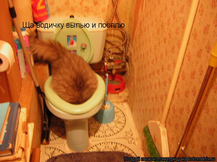 Котоматрица: Ща водичку выпью и посплю