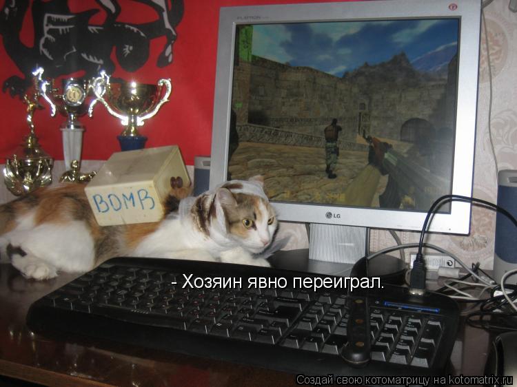 Котоматрица: - Хозяин явно переиграл.