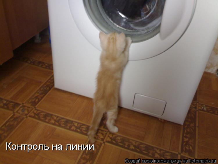 Контроль на линии... Котоматрица: Контроль на линии
