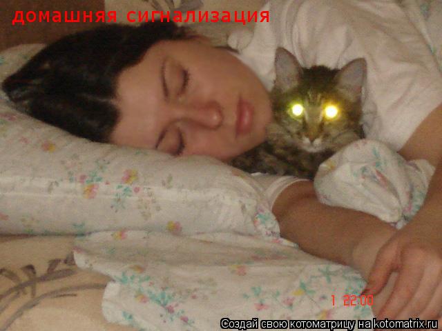 Котоматрица: домашняя сигнализация