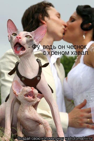 Котоматрица: - Фу, ведь он чеснок с хреном хавал.