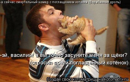 Котоматрица: -а сейчас смертельный номер с поглащением котёнка (борабанная дропь) -эй, василий! а вы точно засуните меня за щёки? (спросил почти поглащённ
