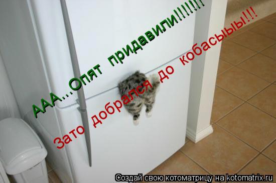 ААА...Опят придавили!!!!!!! ААА...Опят придавили!!!!!!! Зато добрался до кобасыыы!!!... Котоматрица: ААА...Опят придавили!!!!!!! ААА...Опят придавили!!!!!!! Зато добрался до кобасыыы!!!