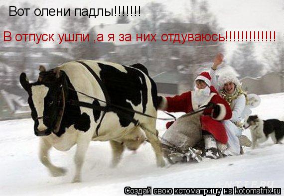 Котоматрица: Вот олени падлы!!!!!!! В отпуск ушли ,а я за них отдуваюсь!!!!!!!!!!!!!