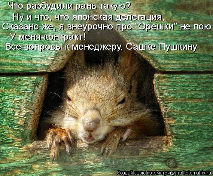 Котоматрица: Что разбудили рань такую? Ну и что, что японская делегация, Сказано же, я внеурочно про "Орешки" не пою У меня-контракт! Все вопросы к менеджер