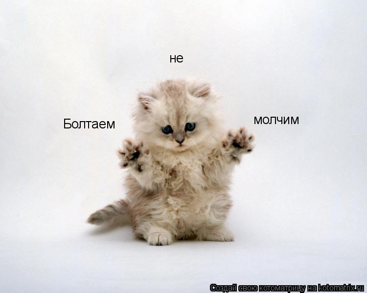 Котоматрица: Болтаем не молчим