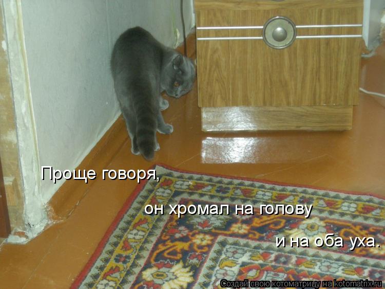 Котоматрица: Проще говоря,  он хромал на голову и на оба уха.