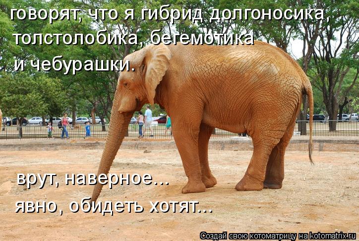 Анекдотом долгоносика Анекдотом долгоносика