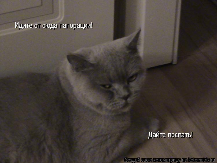 Котоматрица: Идите от сюда папорации! Дайте поспать!