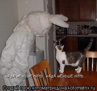Котоматрица: нАдА мЕнЬшЕ пИтЬ...нАдА мЕнЬшЕ пИтЬ...