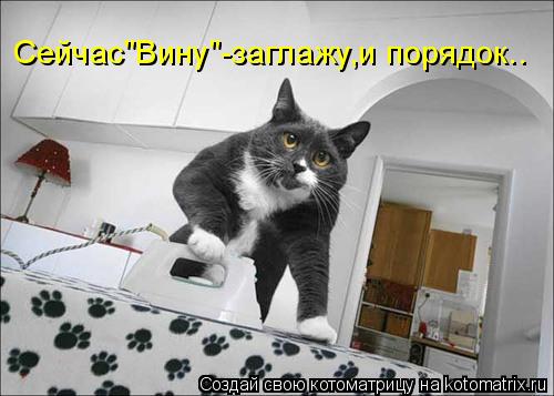 Котоматрица: Сейчас"Вину"-заглажу,и порядок..