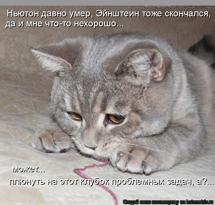 Котоматрица: Ньютон давно умер, Эйнштеин тоже скончался,  да и мне что-то нехорошо... может...  плюнуть на этот клубок проблемных задач, а?...