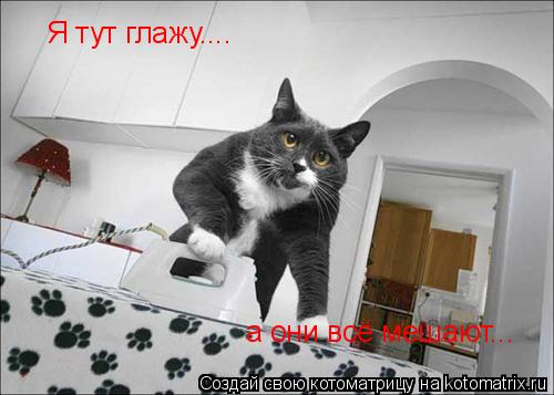 Котоматрица: Я тут глажу.... а они всё мешают...