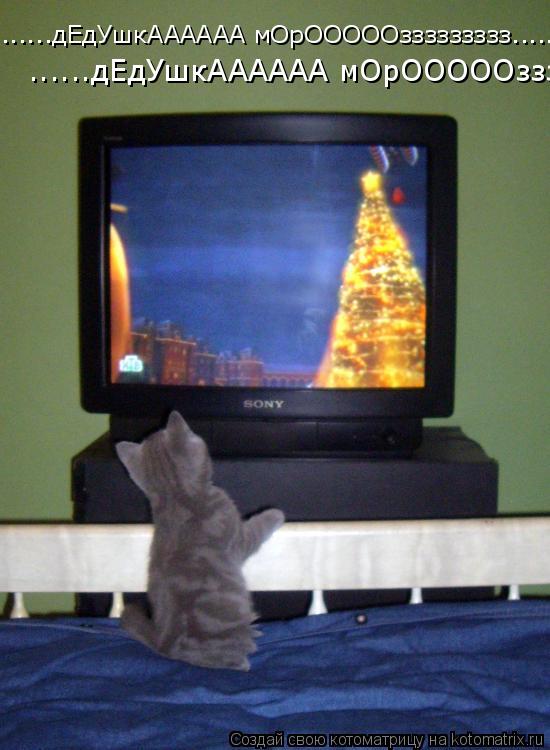 Котоматрица: ......дЕдУшкАААААА мОрОООООззззззззз.......... ......дЕдУшкАААААА мОрОООООззззззззз..........