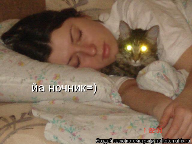 Котоматрица: йа ночник=)