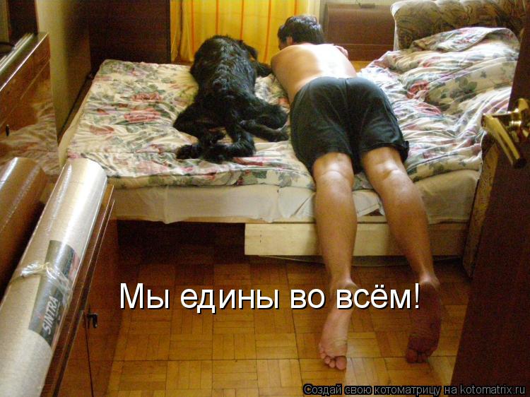 Котоматрица: Мы едины во всём!