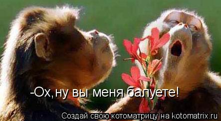 -Ох,ну вы меня балуете!... Котоматрица: -Ох,ну вы меня балуете!