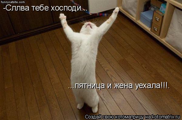 Котоматрица: -Сллва тебе хосподи... ...пятница и жена уехала!!!.
