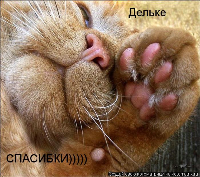 Котоматрица: Дельке СПАСИБКИ)))))