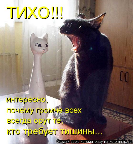 ТИХО!!! кто требует тишины... всегда орут те, почему громче всех интересно,... Котоматрица: ТИХО!!! кто требует тишины... всегда орут те, почему громче всех интересно,