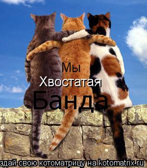 Котоматрица: Мы Хвостатая Банда