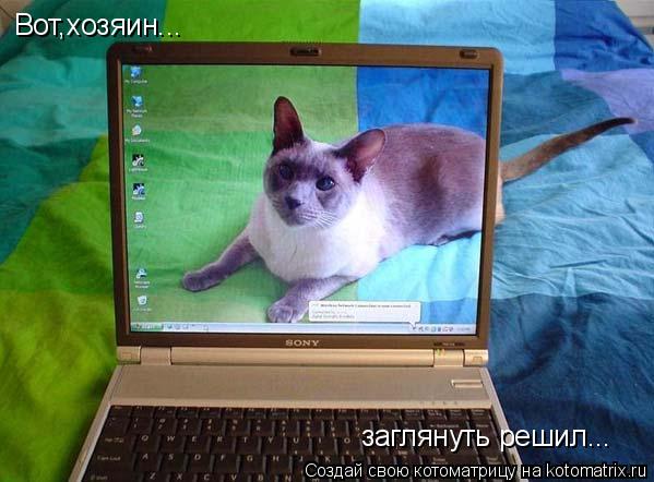 Котоматрица: Вот,хозяин... заглянуть решил...