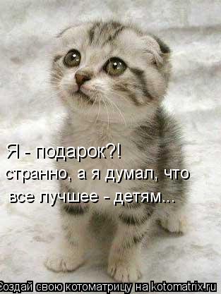 Котоматрица: Я - подарок?! странно, а я думал, что все лучшее - детям...