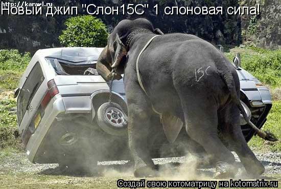 Котоматрица: Новый джип "Слон15С" 1 слоновая сила!