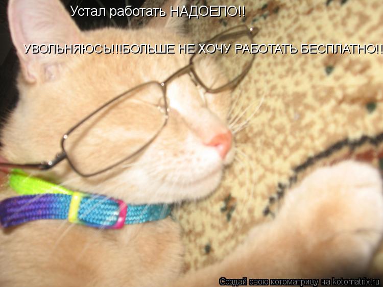 Котоматрица: Устал работать НАДОЕЛО!! УВОЛЬНЯЮСЬ!!!БОЛЬШЕ НЕ ХОЧУ РАБОТАТЬ БЕСПЛАТНО!!!!!