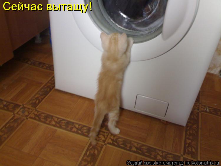 Котоматрица: Сейчас вытащу!