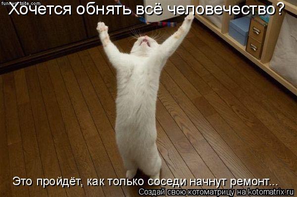 Хочется обнять всё человечество? Это пройдёт, как только соседи начнут ремонт...... Котоматрица: Хочется обнять всё человечество? Это пройдёт, как только соседи начнут ремонт...