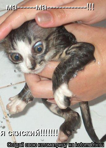 Котоматрица: ма------ма-------------!!! я скиский!!!!!!!
