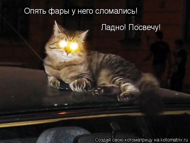 Опять фары у него сломались! Ладно! Посвечу!... Котоматрица: Опять фары у него сломались! Ладно! Посвечу!