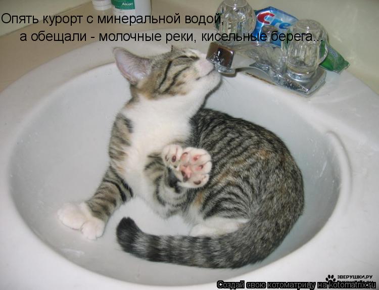 Котоматрица: Опять курорт с минеральной водой, а обещали - молочные реки, кисельные берега...