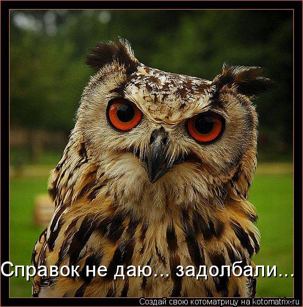 Котоматрица: Справок не даю... задолбали...