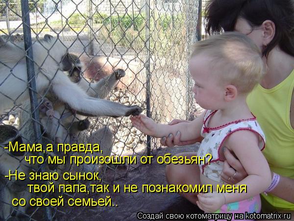 Котоматрица: -Мама,а правда,   со своей семьей.. -Не знаю сынок, что мы произошли от обезьян?  твой папа,так и не познакомил меня