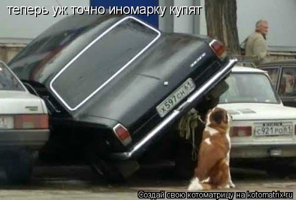Котоматрица: теперь уж точно иномарку купят