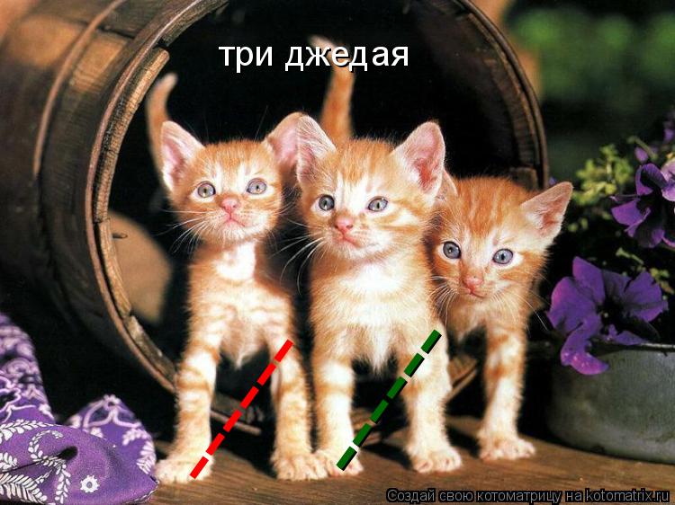 три джедая ------ ------... Котоматрица: три джедая ------ ------