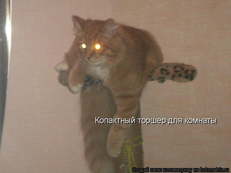 Котоматрица: Копактный торшер для комнаты