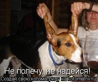 Котоматрица: Не полечу, не надейся!
