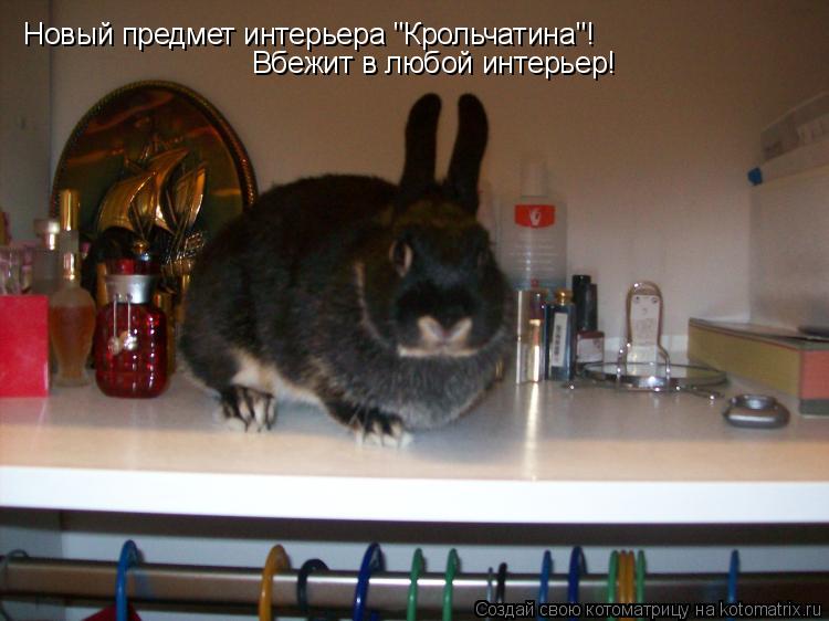 Новый предмет интерьера "Крольчатина"! Вбежит в любой интерьер!... Котоматрица: Новый предмет интерьера "Крольчатина"! Вбежит в любой интерьер!