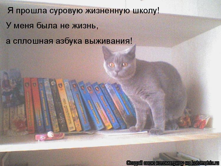 Котоматрица: Я прошла суровую жизненную школу! У меня была не жизнь,  а сплошная азбука выживания!