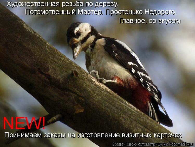 Художественная резьба по дереву. Главное, со вкусом Принимаем заказы на изготовление визитных карто... Котоматрица: Художественная резьба по дереву. Главное, со вкусом Принимаем заказы на изготовление визитных карточек Потомственный Мастер. Простенько.