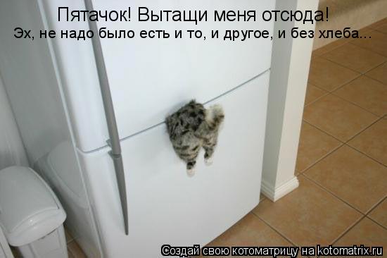 Котоматрица: Пятачок! Вытащи меня отсюда! Эх, не надо было есть и то, и другое, и без хлеба...