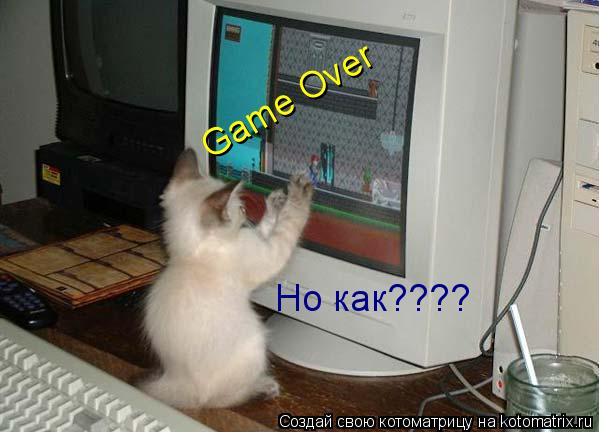 Котоматрица: Game Over Но как????
