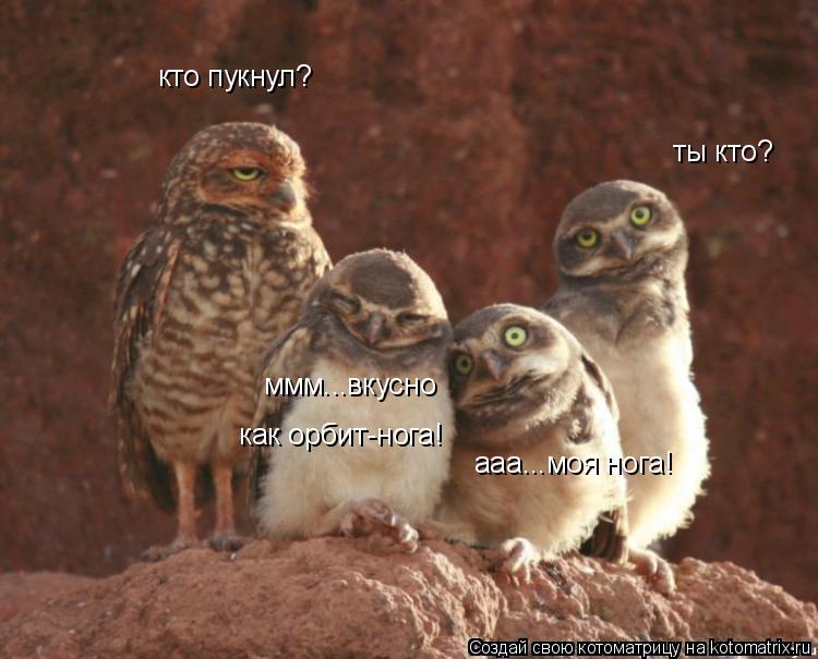 Котоматрица: ты кто? ааа...моя нога! ммм...вкусно как орбит-нога! кто пукнул?