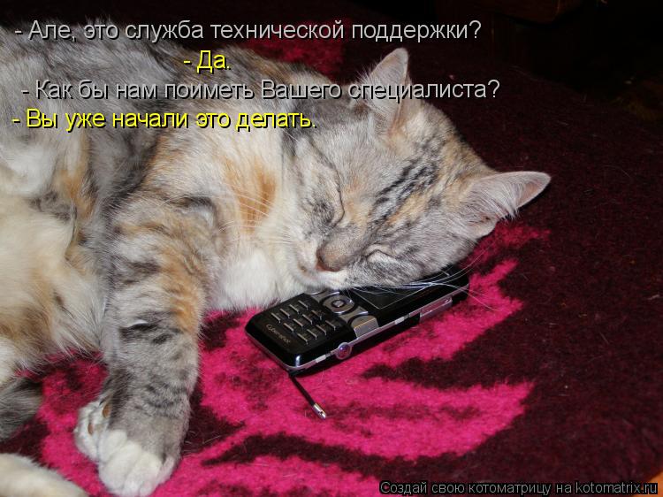 - Але, это служба технической поддержки? - Да. - Как бы нам поиметь Вашего специалиста? - Вы уже нача... Котоматрица: - Але, это служба технической поддержки? - Да. - Как бы нам поиметь Вашего специалиста? - Вы уже начали это делать.