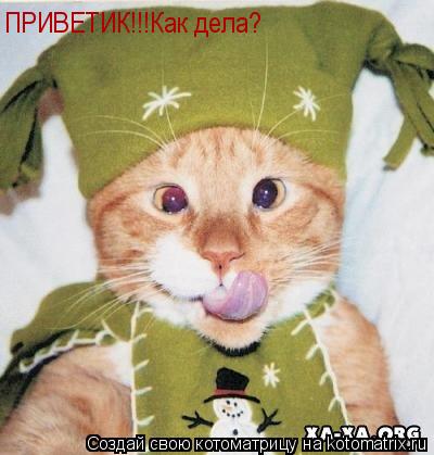 ПРИВЕТИК!!!Как дела?... Котоматрица: ПРИВЕТИК!!!Как дела?